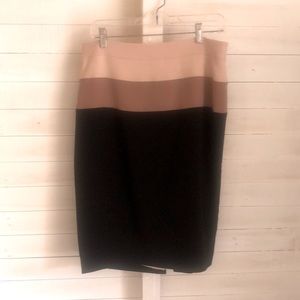 Ann Taylor skirt